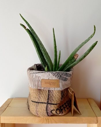 Cache-pot FLORA Ø13cm Toile de Jute / Jungle